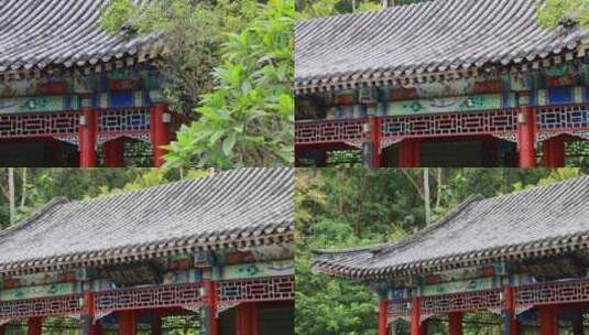 中国古典园林、江南园林、深圳园博园高清在线视频素材下载