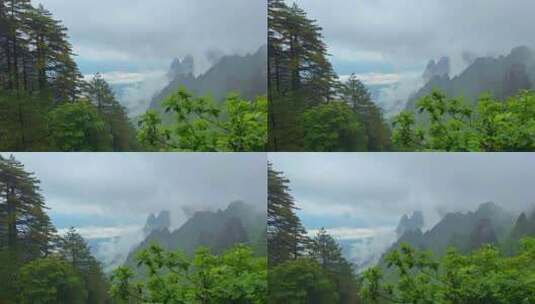 安徽黄山风景区雨后云海水墨风景区宣传片高清在线视频素材下载