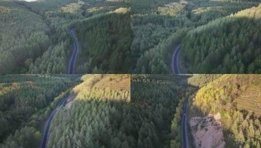 森林公路  航拍开车 航拍 山林驾驶汽车 4k高清在线视频素材下载