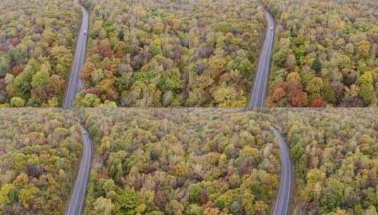 航拍森林公路，汽车行驶高清在线视频素材下载