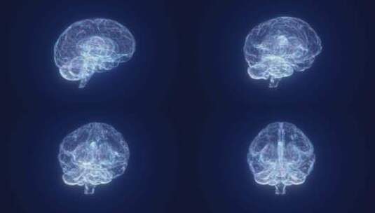 大脑 科技大脑 大脑模型 数字大脑 医疗高清在线视频素材下载