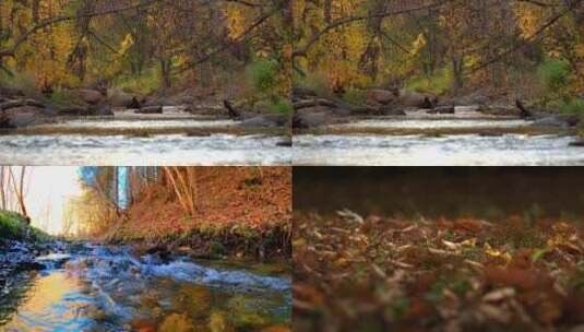 美丽唯美的秋天空镜头场景高清在线视频素材下载