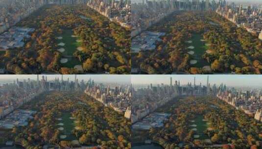 城市航拍纽约曼哈顿中央公园摩天大楼天际线高清在线视频素材下载