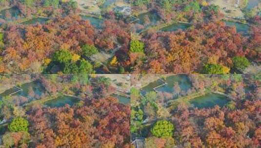 苏州天平山风景区航拍12高清在线视频素材下载
