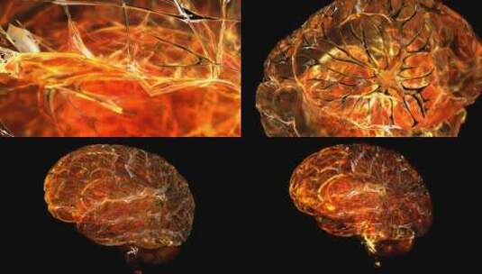 人体大脑开发医学动画高清在线视频素材下载