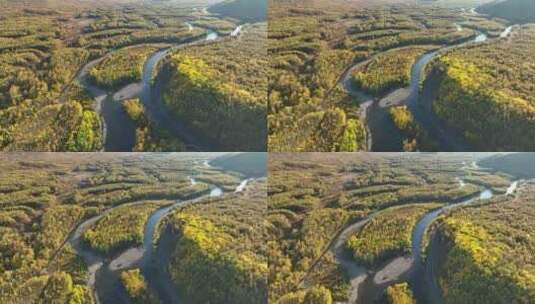 航拍秋季蜿蜒的森林河高清在线视频素材下载