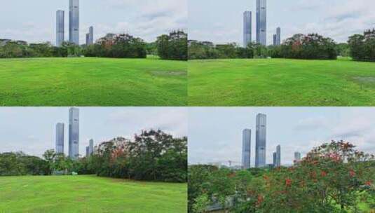 4K美丽深圳、深圳中心公园航拍高清在线视频素材下载
