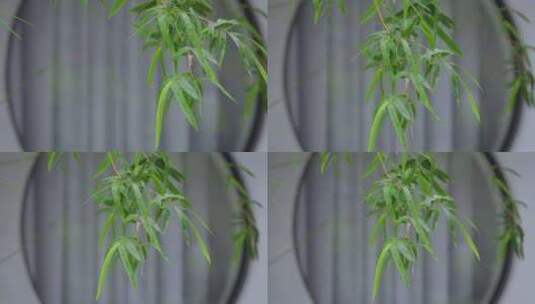 雨中竹子窗棂视频视频4K高清在线视频素材下载
