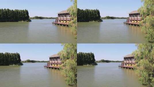 苏州太湖湿地公园美丽湖水绿植生态景观高清在线视频素材下载