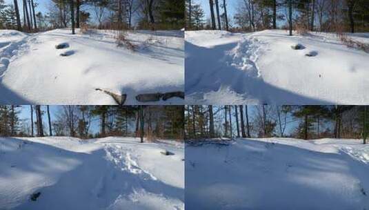 白雪覆盖的森林地面的水平平底锅，露出一条高清在线视频素材下载