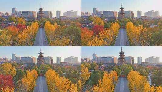 上海秋天 龙华寺秋天 上海地标秋色高清在线视频素材下载