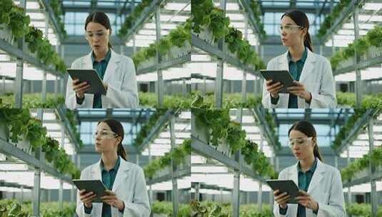 智慧农业女科研员科技农业行业视频高清在线视频素材下载