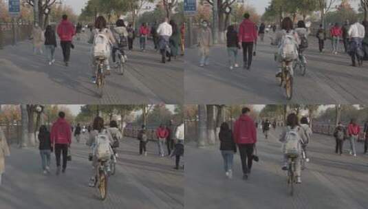 北京骑共享单车4K实拍高清在线视频素材下载
