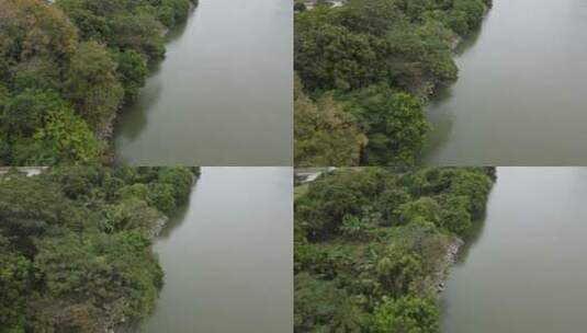 江边生态保护区高清在线视频素材下载