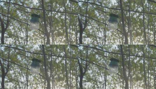 树上的驱蚊灯高清在线视频素材下载