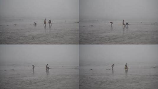 阴天游客海边赶海阴雨天雾天大海沙滩挖海鲜高清在线视频素材下载