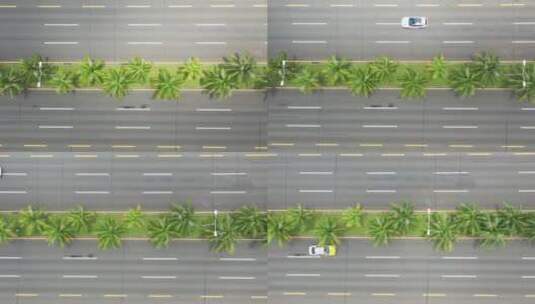 海口椰树道路高清在线视频素材下载