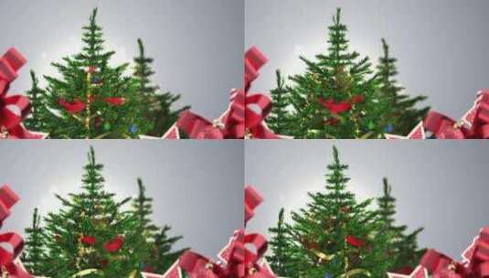4K旋转圣诞树圣诞节装饰元素3d循环动画 (3)高清在线视频素材下载