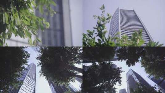 重庆城市建筑 树叶 长江高清在线视频素材下载