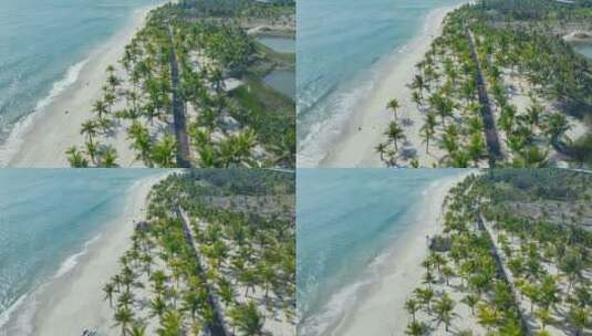 椰林阳光沙滩航拍高清在线视频素材下载