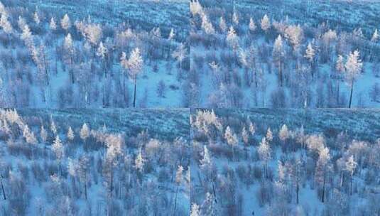 鸟瞰林海雪原银装素裹的松林高清在线视频素材下载