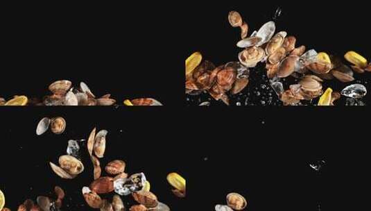 黄蚬蚬子花蛤蛏子蛤蜊花甲海鲜高清在线视频素材下载