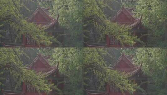 香火鼎盛的中国寺庙高清在线视频素材下载