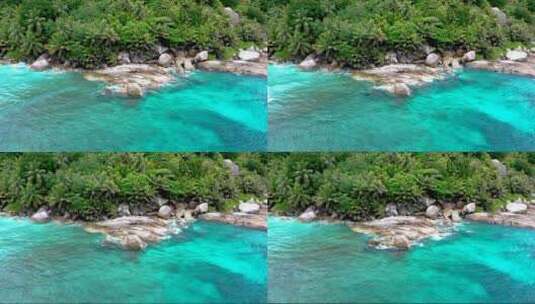 茂盛的热带植物与蔚蓝的海水高清在线视频素材下载