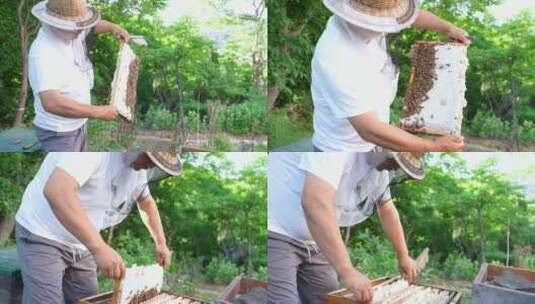 养蜂人蜂农采蜂蜜高清在线视频素材下载