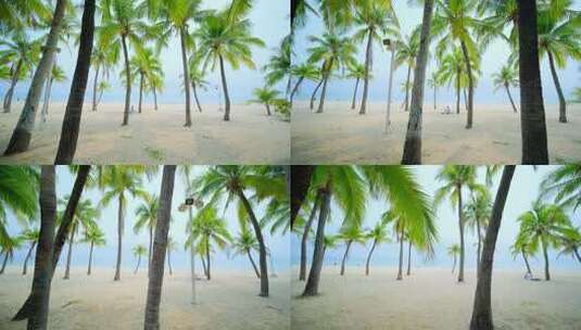 海南三亚 椰树 椰子树 海边沙滩海滩度假高清在线视频素材下载