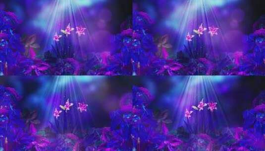 4K 抽象唯美花朵02高清在线视频素材下载