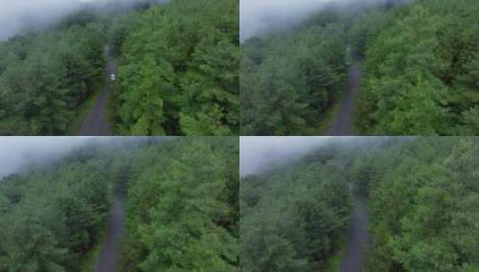 航拍雨中森林公路高清在线视频素材下载