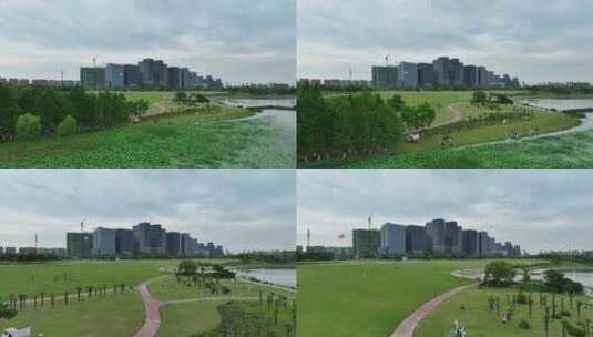 徐州市大龙湖风景区夏日荷花池高清在线视频素材下载