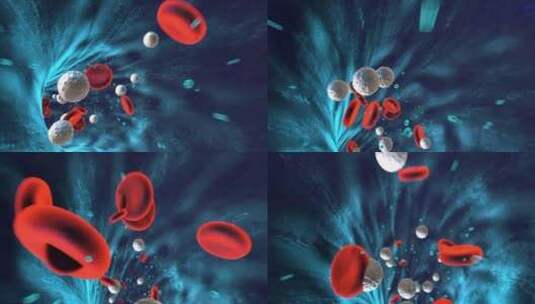 血管、血细胞高清在线视频素材下载