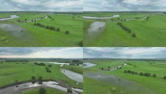 内蒙古草原牧场海拉尔河湿地夏日风光高清在线视频素材下载