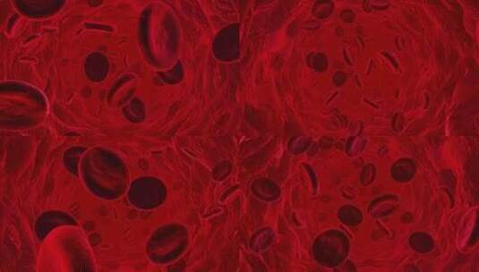 静脉中的红细胞高清在线视频素材下载
