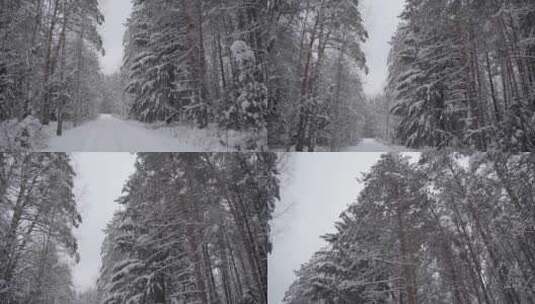 特写雾凇过后的森林大学覆盖白雪高清在线视频素材下载