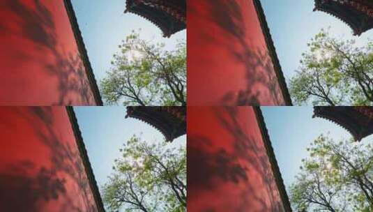 北京雍和宫红墙光影绿树高清在线视频素材下载