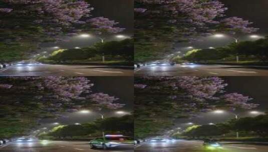 成都夜晚的蓝花楹树下车来车往高清在线视频素材下载
