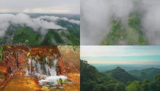 合集德清县莫干山风景区莫邪干将云海竹林高清在线视频素材下载