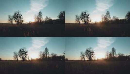 阳光和草地高清在线视频素材下载