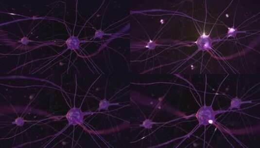 显微镜下神经系统和大脑神经元脉冲的动画4高清在线视频素材下载