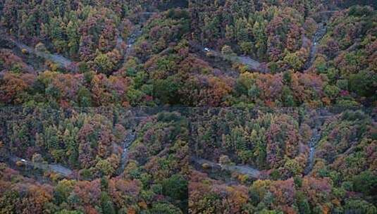 航拍洛阳嵩县白云山秋景高清在线视频素材下载