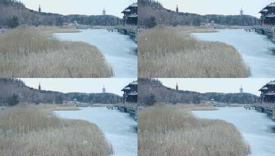 冬天下雪 雪花 冬天空镜高清在线视频素材下载