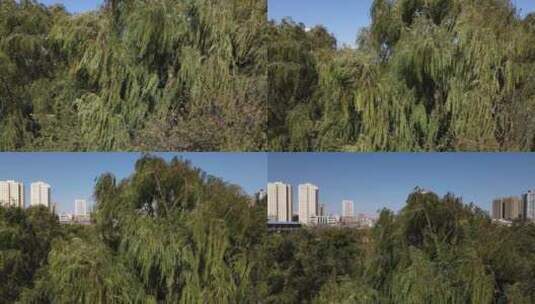 航拍城市绿化公园高清在线视频素材下载