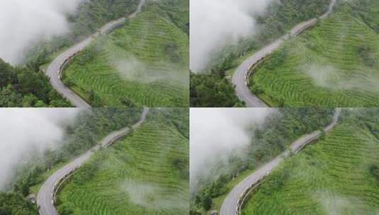 航拍迷雾中的南岳衡山景区盘山公路高清在线视频素材下载
