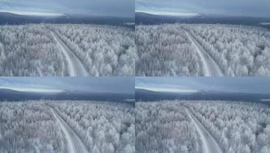 航拍极寒时节林海雪原风光高清在线视频素材下载