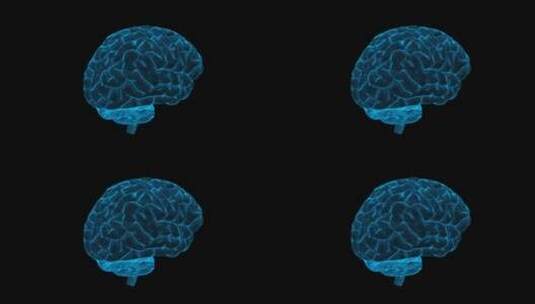 人工智能大脑粒子全息图高清在线视频素材下载