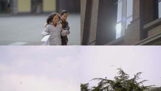 上海扫街高清在线视频素材下载