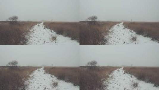 雾气弥漫的森林里的雪路高清在线视频素材下载
